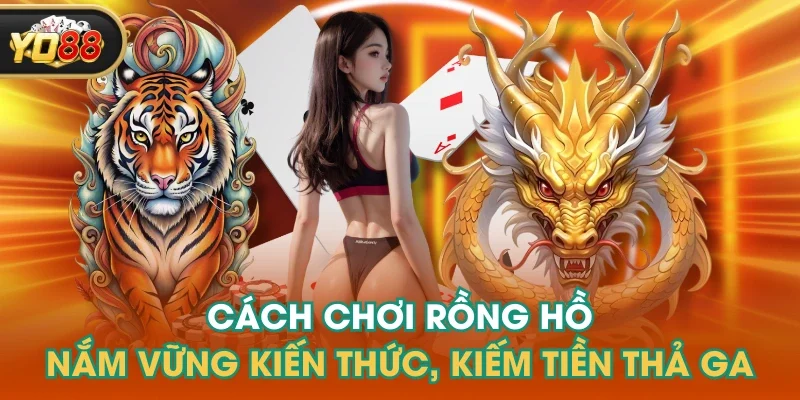 Cách Chơi Rồng Hồ - Nắm Vững Kiến Thức, Kiếm Tiền Thả Ga