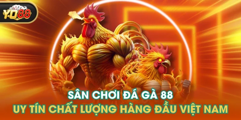 Sân Chơi Đá Gà 88 Uy Tín Chất Lượng Hàng Đầu Việt Nam