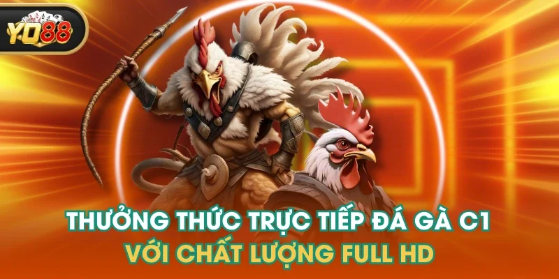 Thưởng Thức Trực Tiếp Đá Gà C1 Với Chất Lượng Full HD