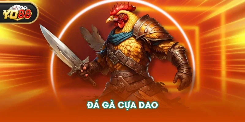 Đá gà cựa dao